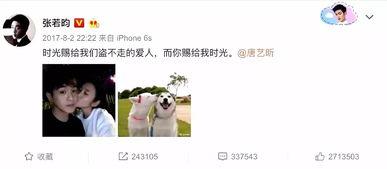 娱乐圈吃瓜张翰视频大全,张翰视频大全，吃瓜群众必看！  第3张